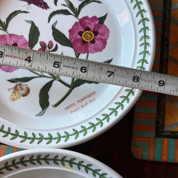 Botanic Gardens salad plates colorful and durable set of 4. 8-1/2 diameter - Picture 5 of 6